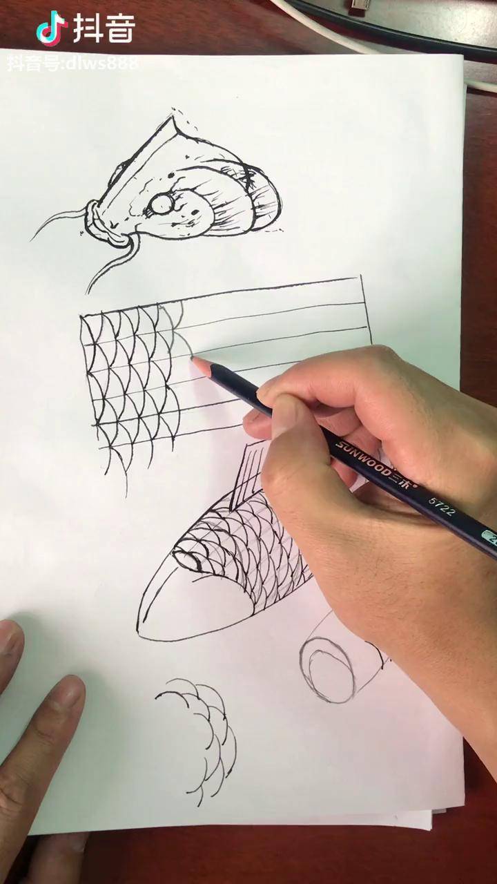 鱼鳞的画法步骤技巧图片