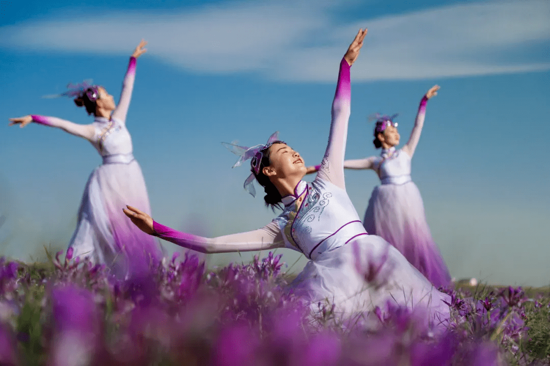 乌审旗马兰花开等你来