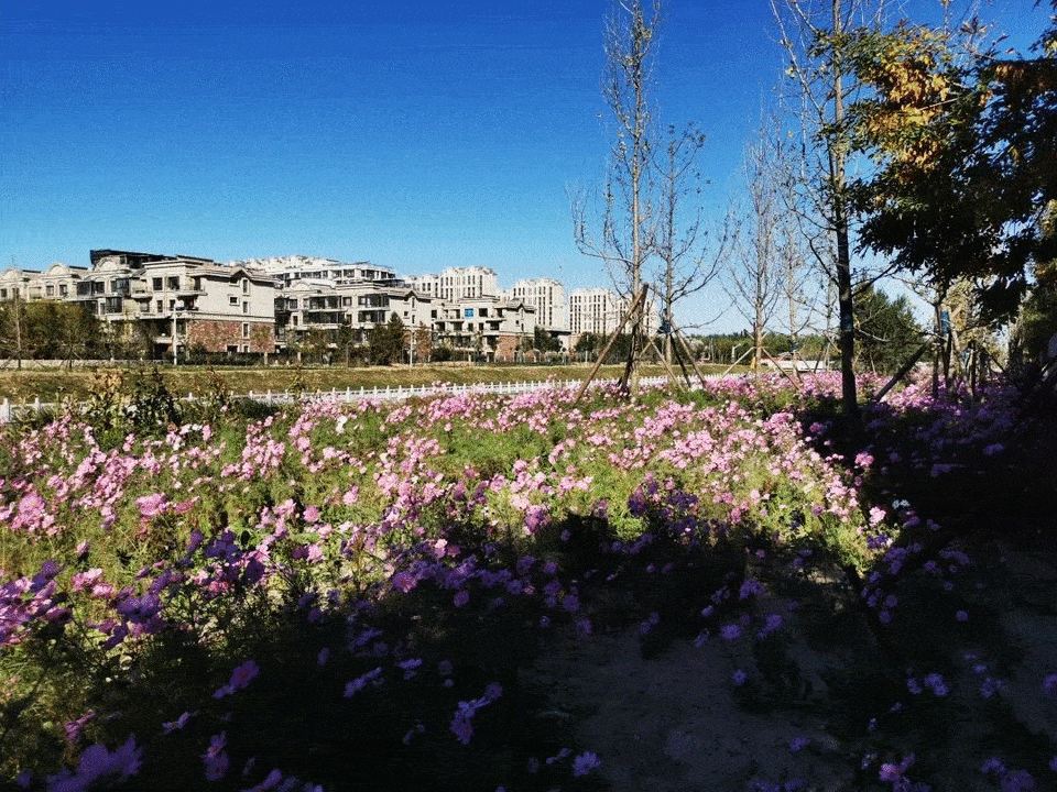 永兴河湿地公园图片