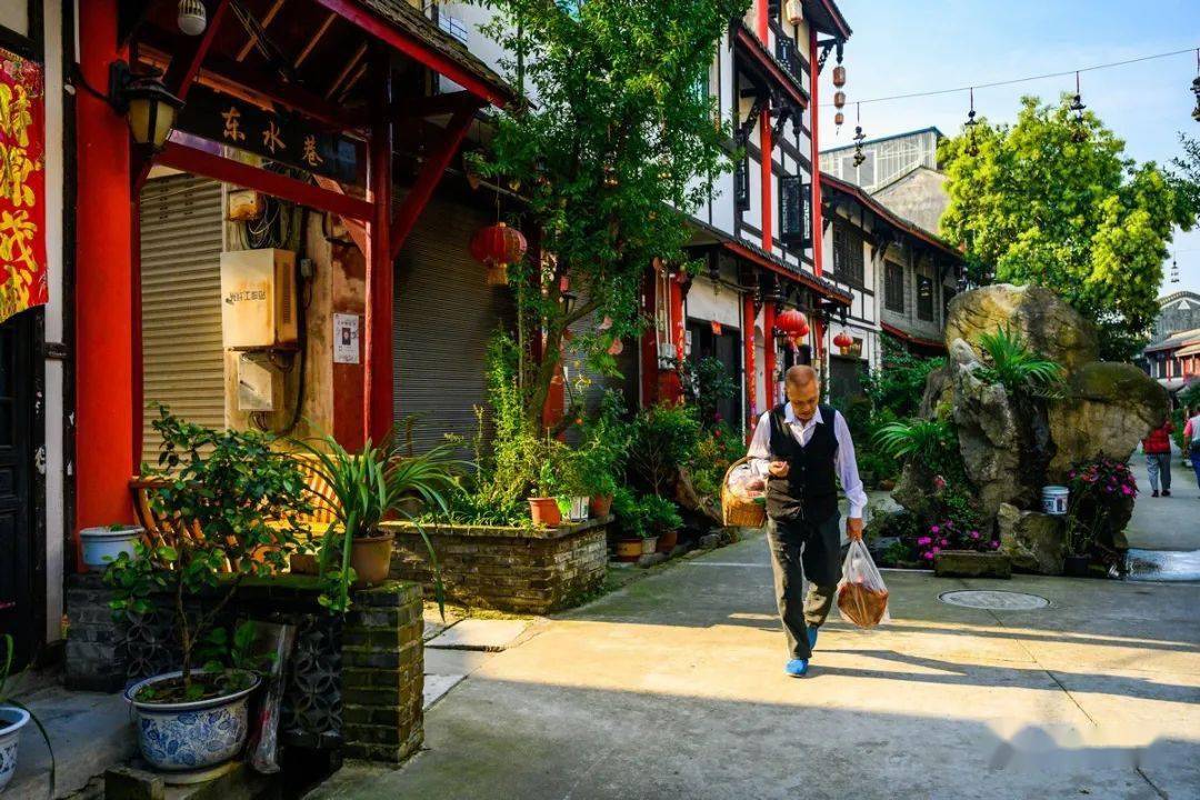 街邊的花草店茶館裡的銅壺收音機,壓水井這些事物構成了小鎮生活的一