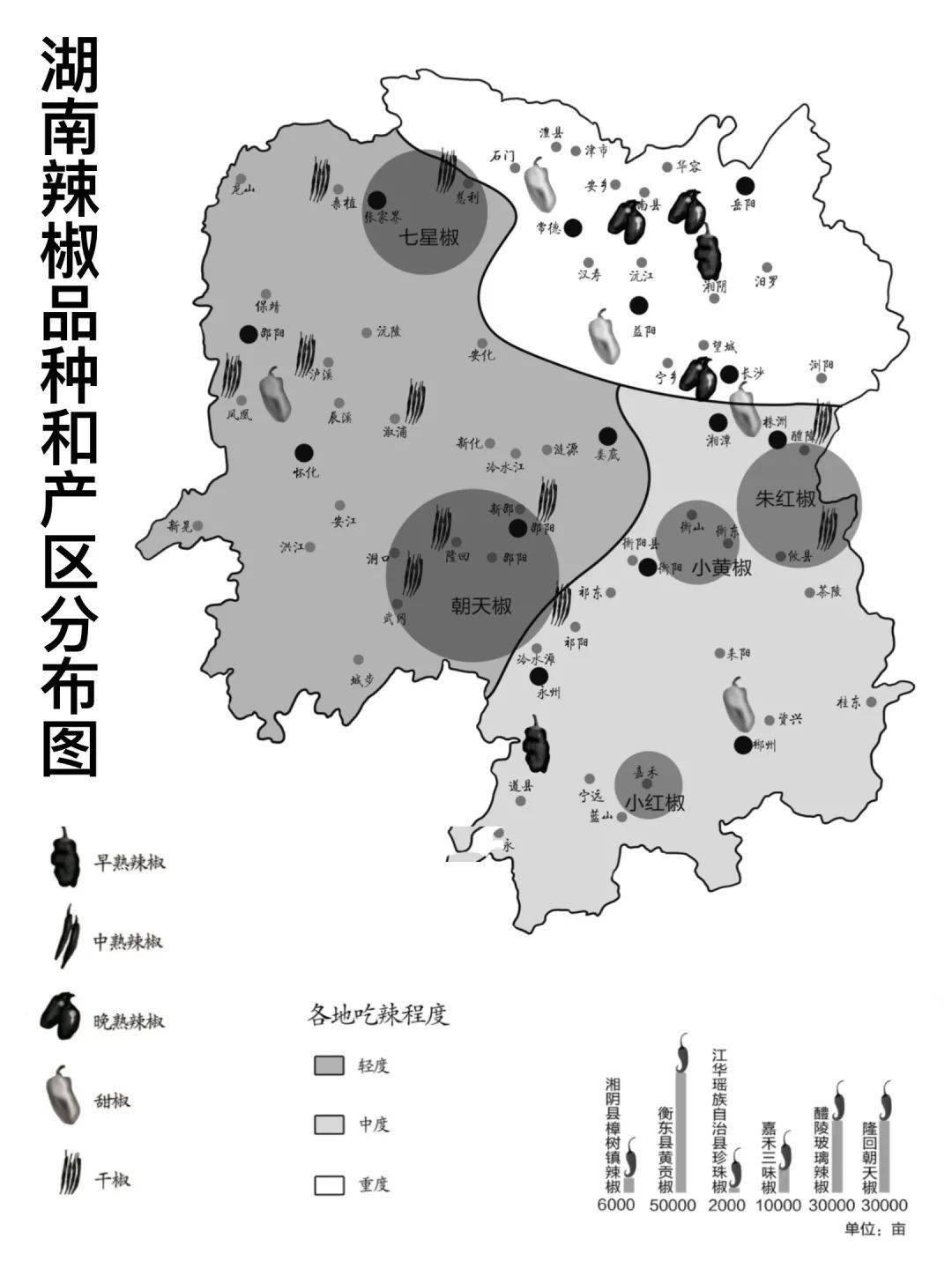 湖南干饭人,辣椒才是魂!