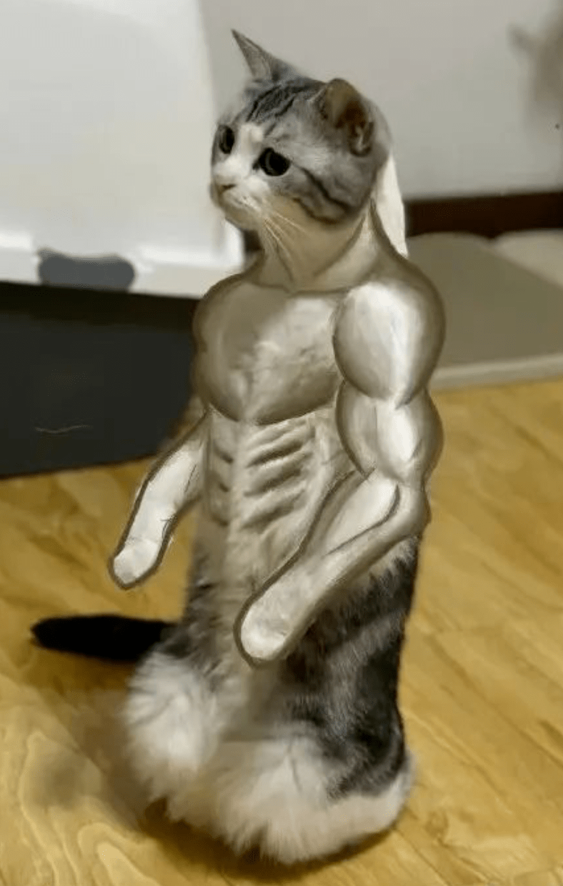 肌肉猫沙雕图图片