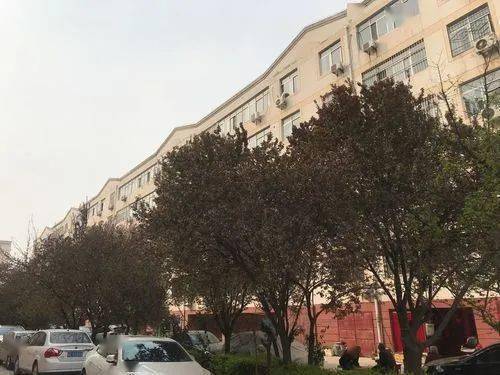 渭南三马路一小区棋牌室被责令停业!麻将从白天打到凌晨噪音扰民.