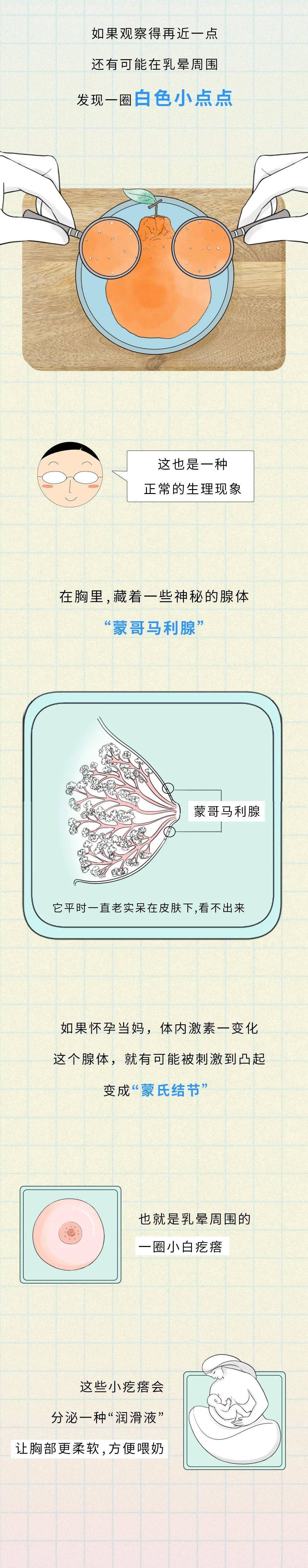 女生胸部的白色小点点到底是什么