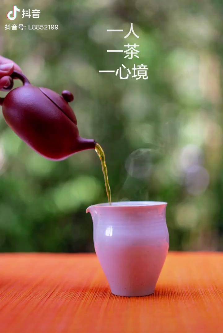 一人一茶一心境茶柏联普洱