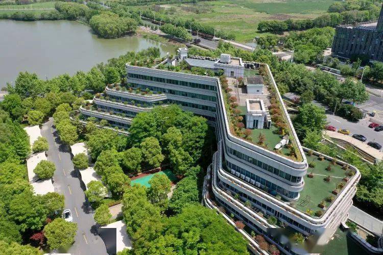 100元,在湖州能买到什么?