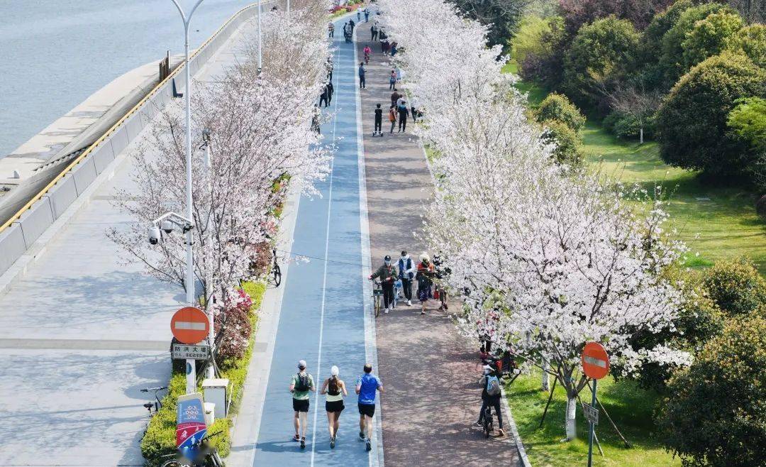 滨江这批公园道路河道高架获评最佳