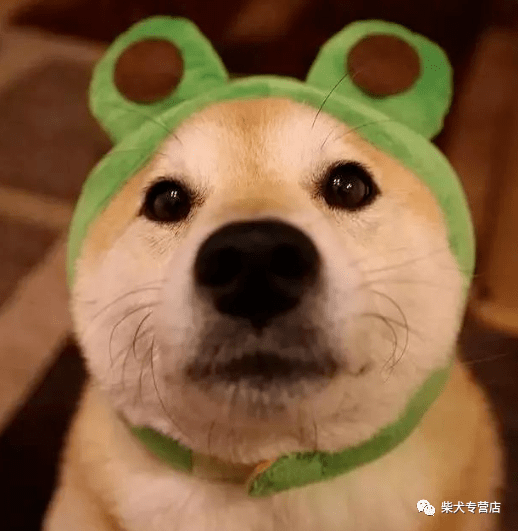afe877bc55fa40178e861730081e736b.png