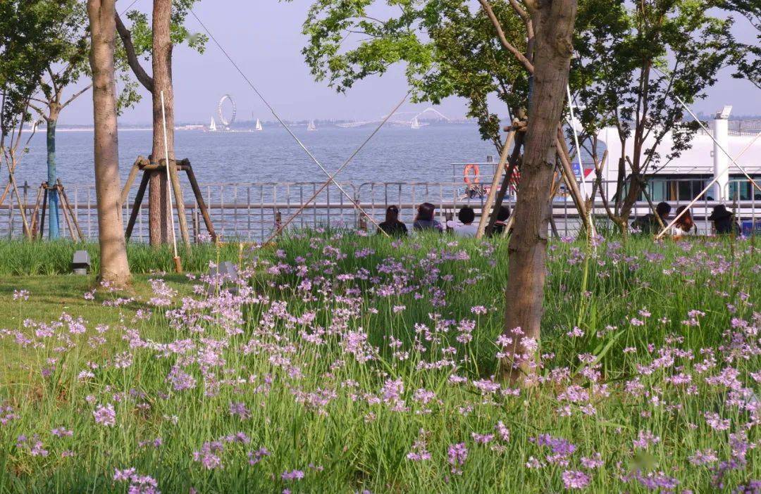 【图集】初夏的滴水湖是什么样的?一大波美图看过来