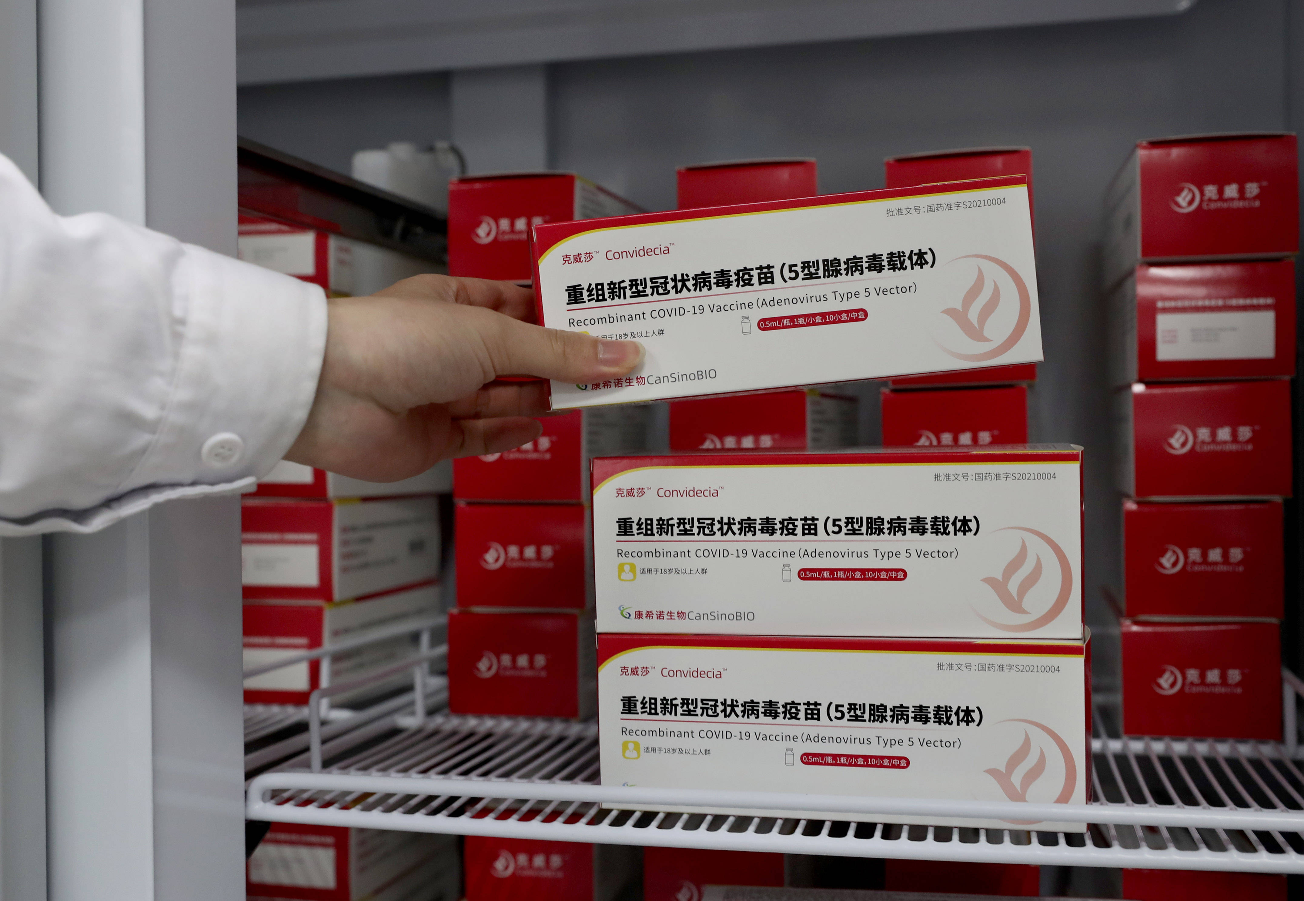 工作人员从冰箱拿取腺病毒载体疫苗