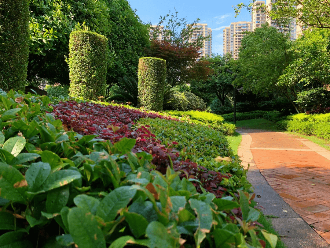 小区照片 风景图片