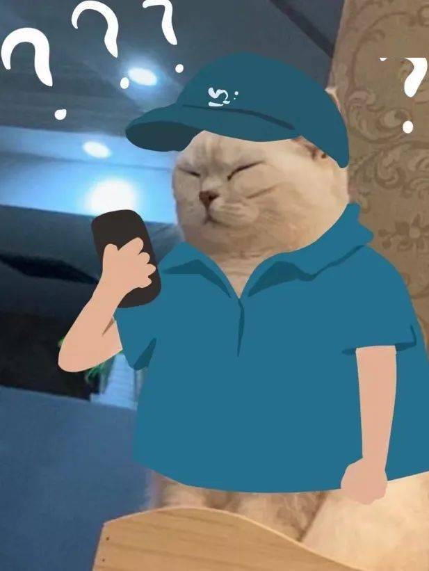 猫蛋蛋怎么长胡歌脸上了