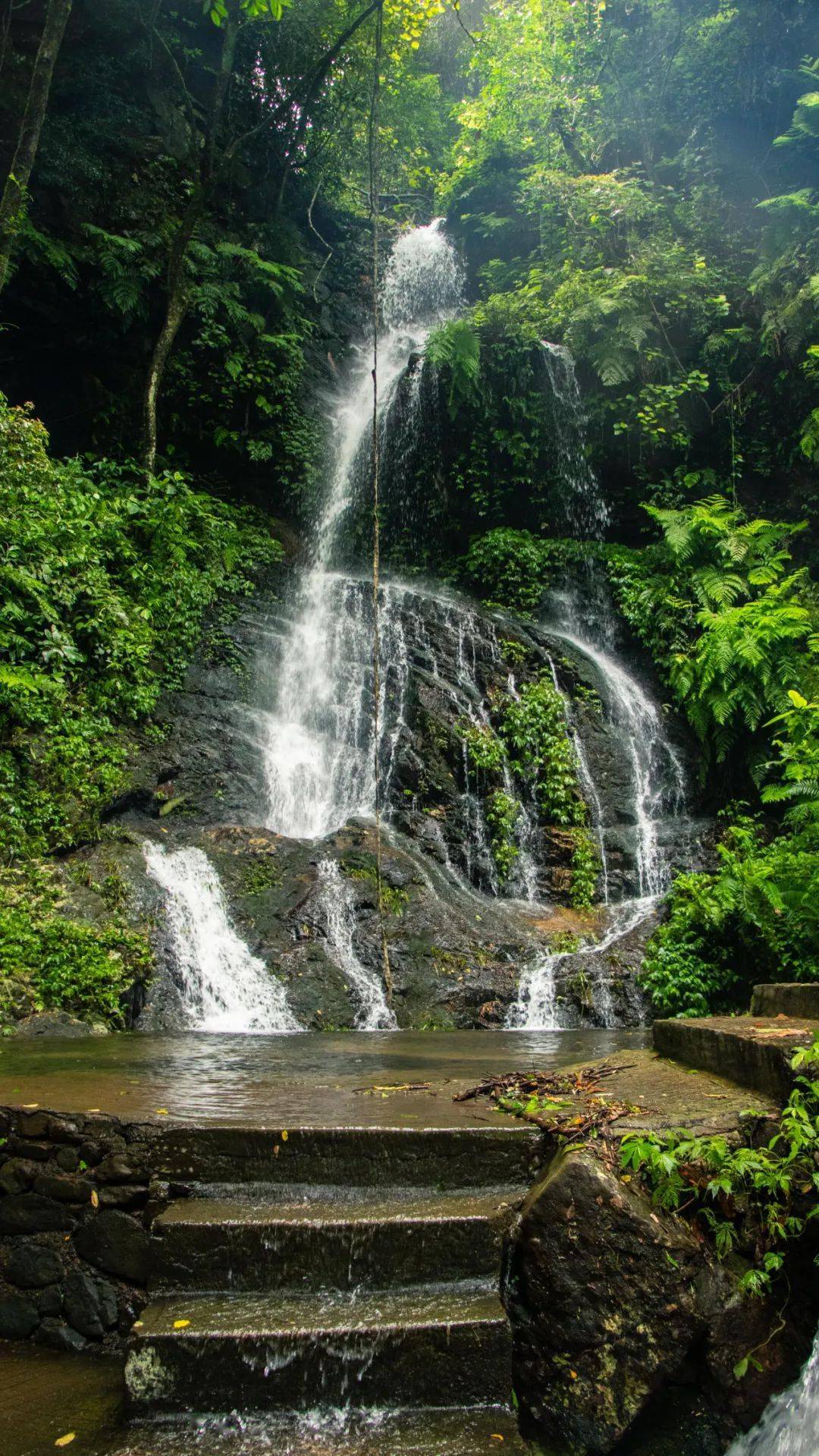 留羊岭五马归了"槽",牧羊倌也迷恋大桂山的山光水色.
