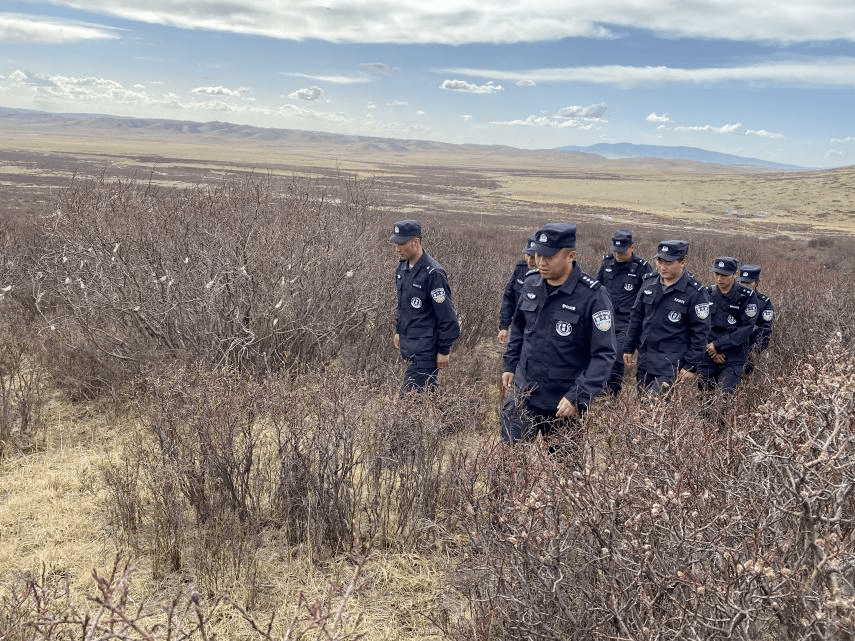 黄南森警泽库县公安局森林警察大队扎实开展西部巡山查林工作