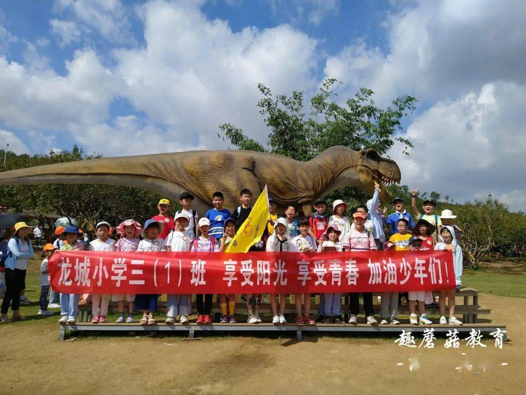 冒险岛罕见潜能用什么洗——冒险岛装备