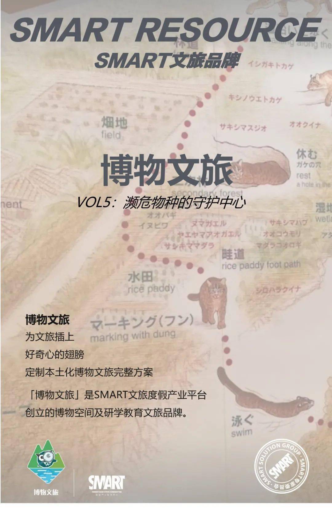 博物文旅 爱护100只猫 守护一座岛 日本西表岛国家公园野生动物中心的拯救行动 西表猫