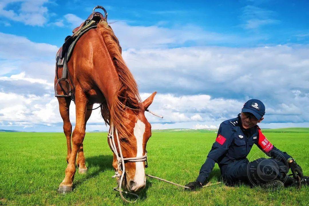 中国摄影网签约摄影师王雪瑶:我和我的战马