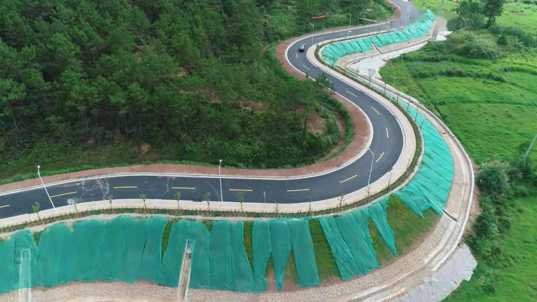 已完成工程量95罗定环市南路建设进入收尾阶段