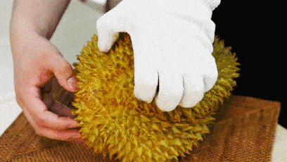626da0cfc78d4d739f26544a29b9a6e4.gif