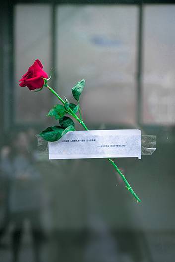 理工科的浪漫 这个5 送你一朵小红花 念佳钦