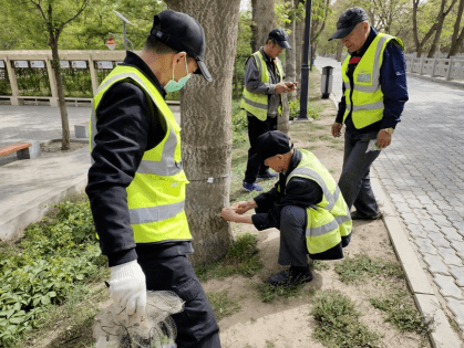 吴忠市林业技术推广服务中心绑扎捕虫网防治臭椿沟眶象