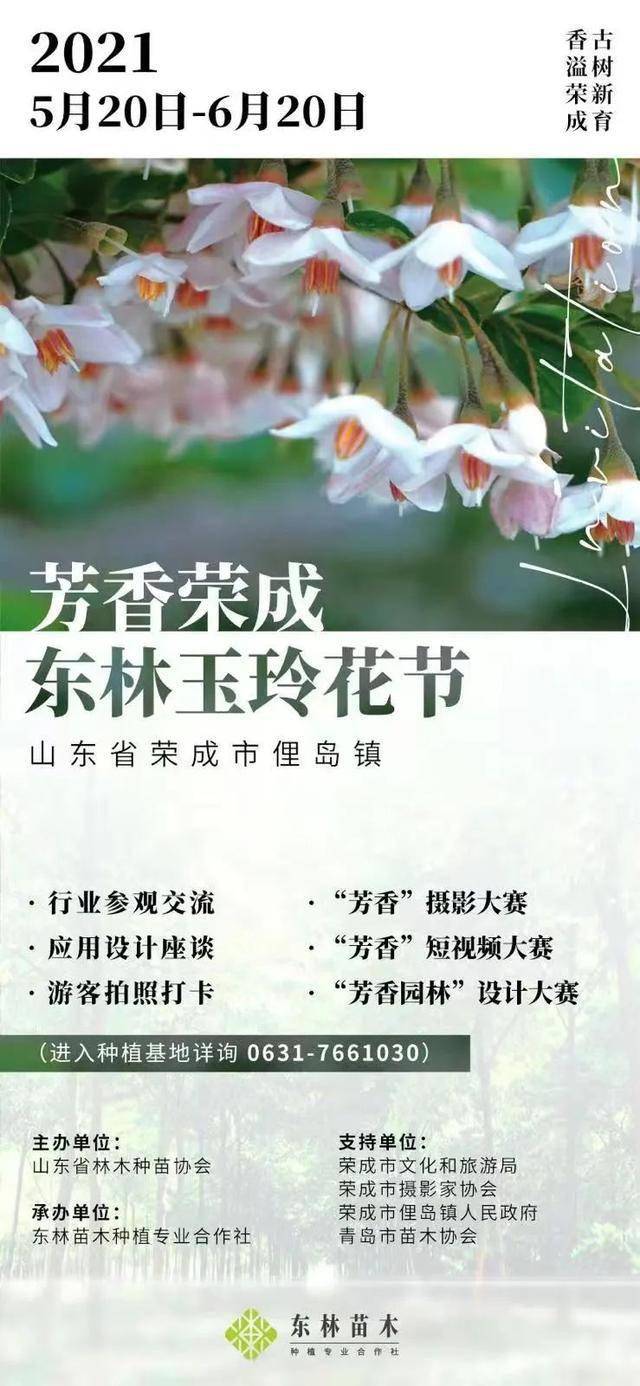 玉玲花开连成海 邀您共赴花盛宴 苗木