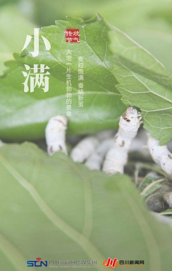 小满人生不求太满小满即是圆满