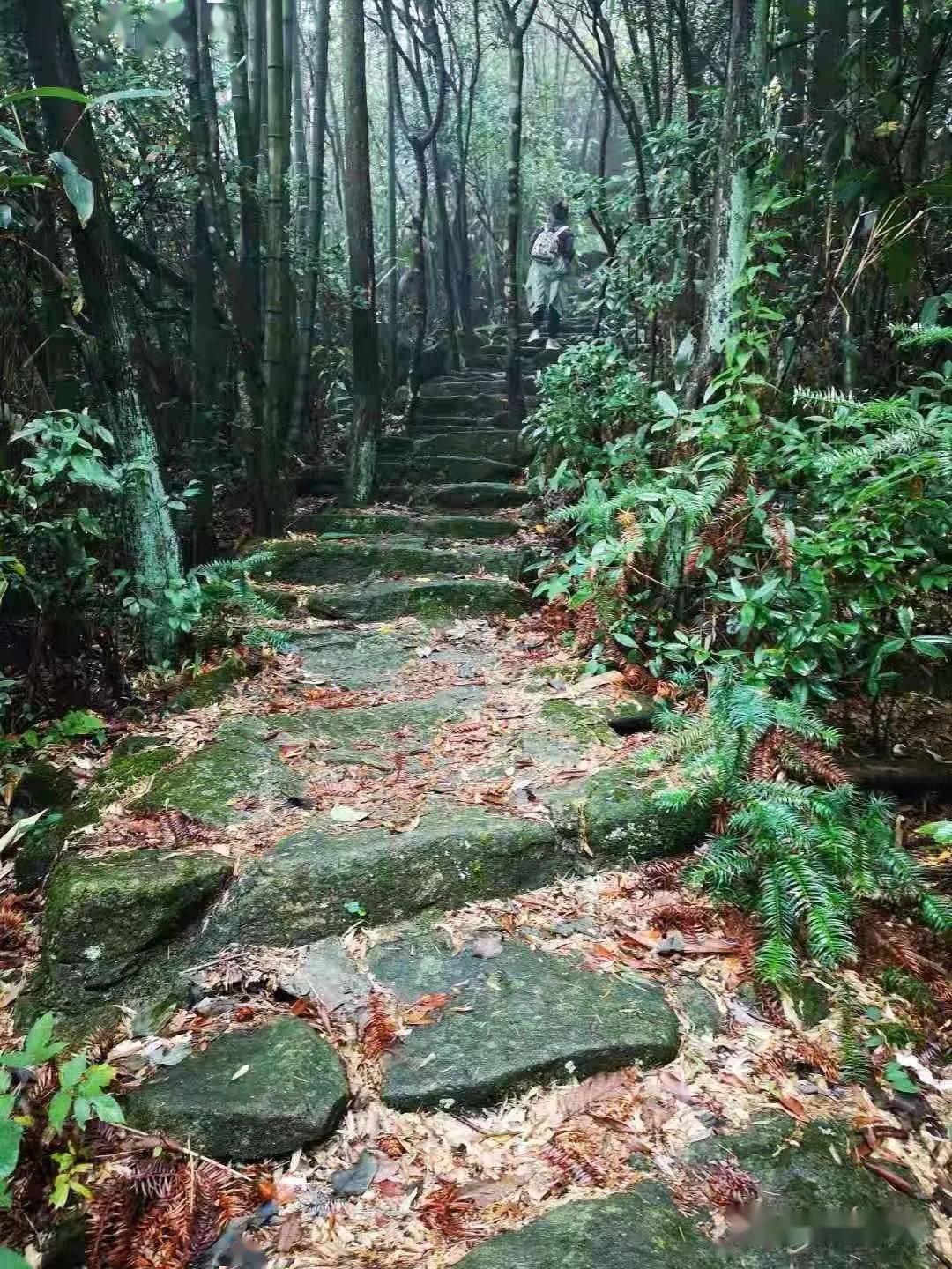 開福寺週二525登長沙最高峰石柱峰70車費保險