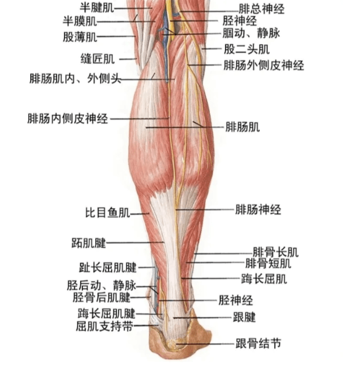 挑断脚筋 明明不是武侠片 他们却对自己下此狠手 手术