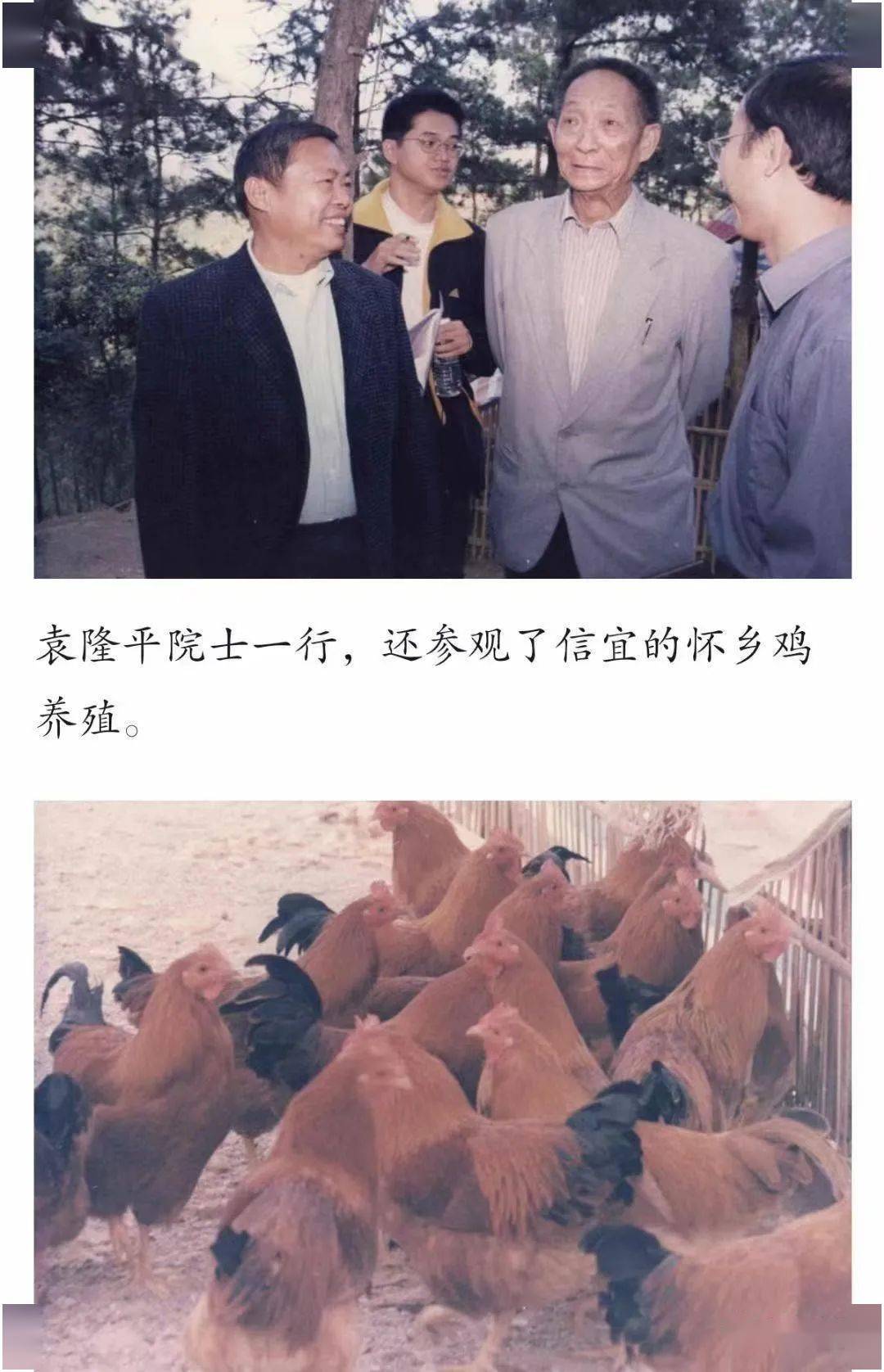 陨落曲谱_陨落钢琴曲谱(3)