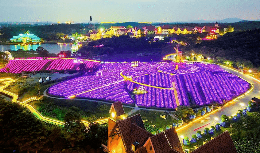 暑假,浪漫的童话小镇上,在一个被花海包围的地方,开设了一个女生的