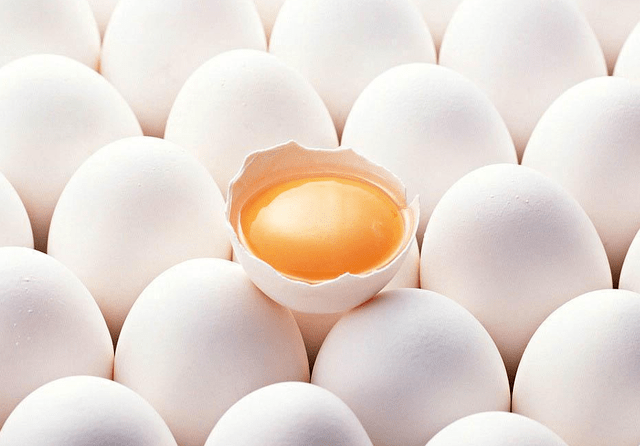 4101ff9e9643415c92eaeb0e5a472a50.png