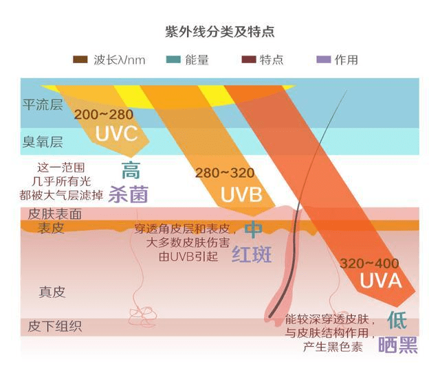 一波靈魂拷問幫你把問號拉直!_紫外線