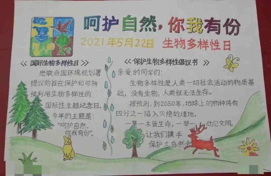 課外,孩子們和家長們小手拉大手,共同瞭解更多關於生物多樣性知識,將