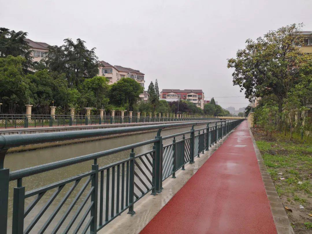 闵行新增一处亲水步道→_河道