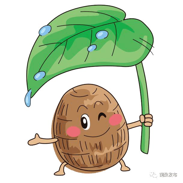 吃货们 这种让人"芋"罢不能的美食"入驻"铜梁啦!