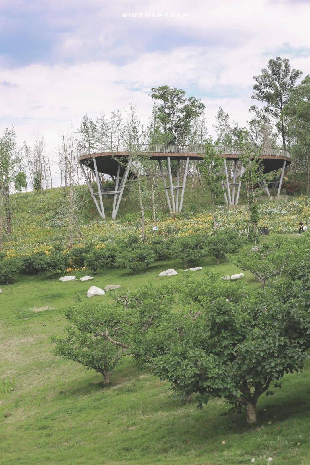 去年就推过的公园,今年凭『龙猫草海』出圈了!