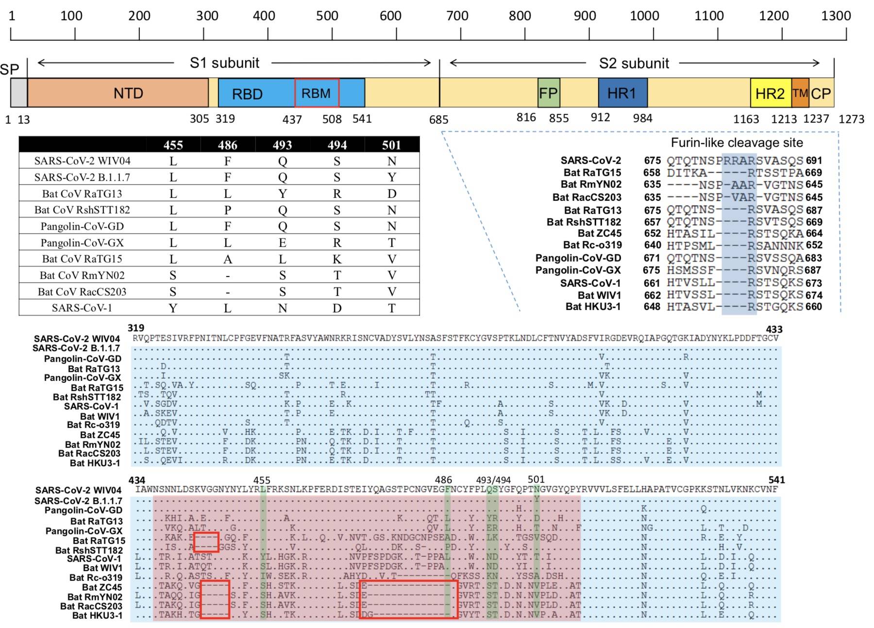 SARSr-CoV-|石正丽团队发表冠状病毒新研究，进一步证明新冠非实验室泄漏