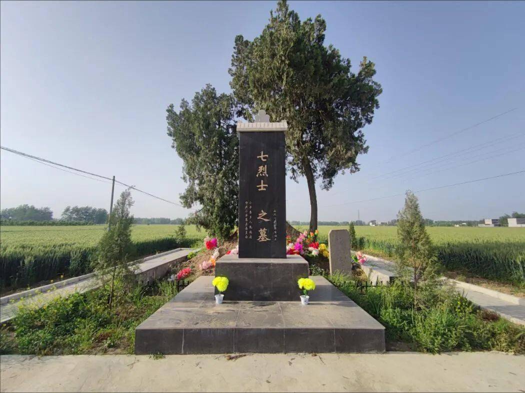 记者来到七烈士墓前,只见两棵高大的松树像两名战士守护着烈士墓,坟头