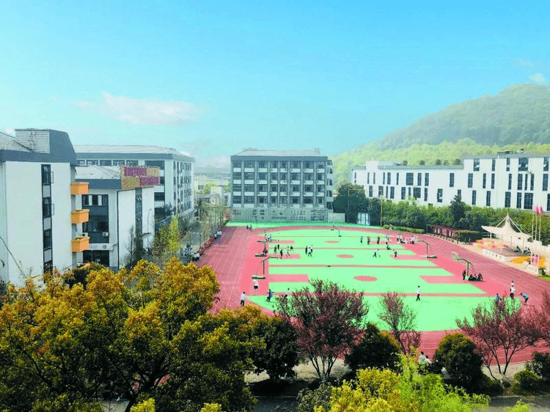 采实建兰公益绿城育华启正观成精彩校园开放日橙柿互动今日预约