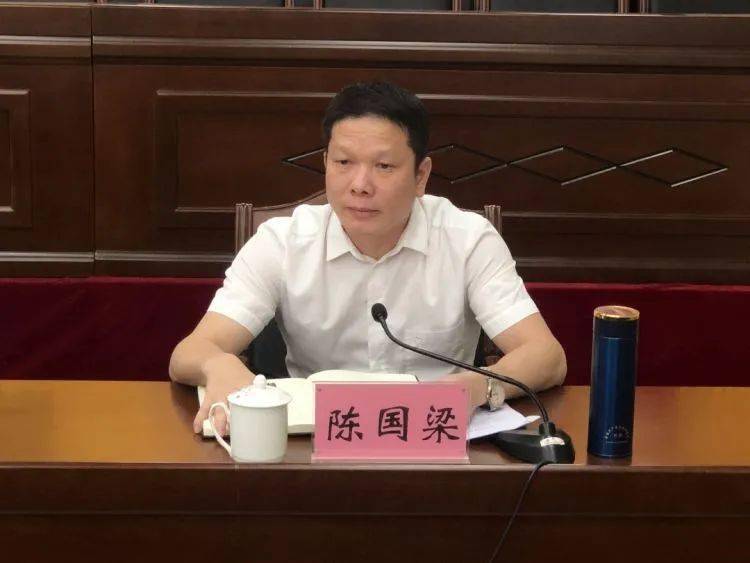 陈国梁任中共五指山市委委员,常委,副书记,提名为五指山市人民政府