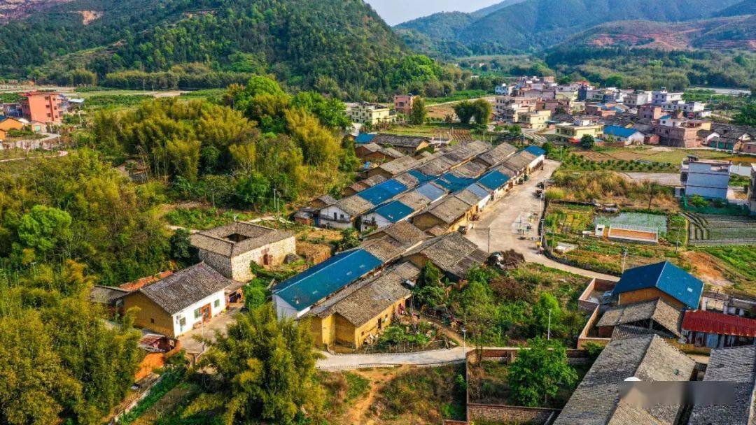 山乡蝶变⑥始兴县大村村:水果四季飘香,金凤凰纷杳而至_刘志湘