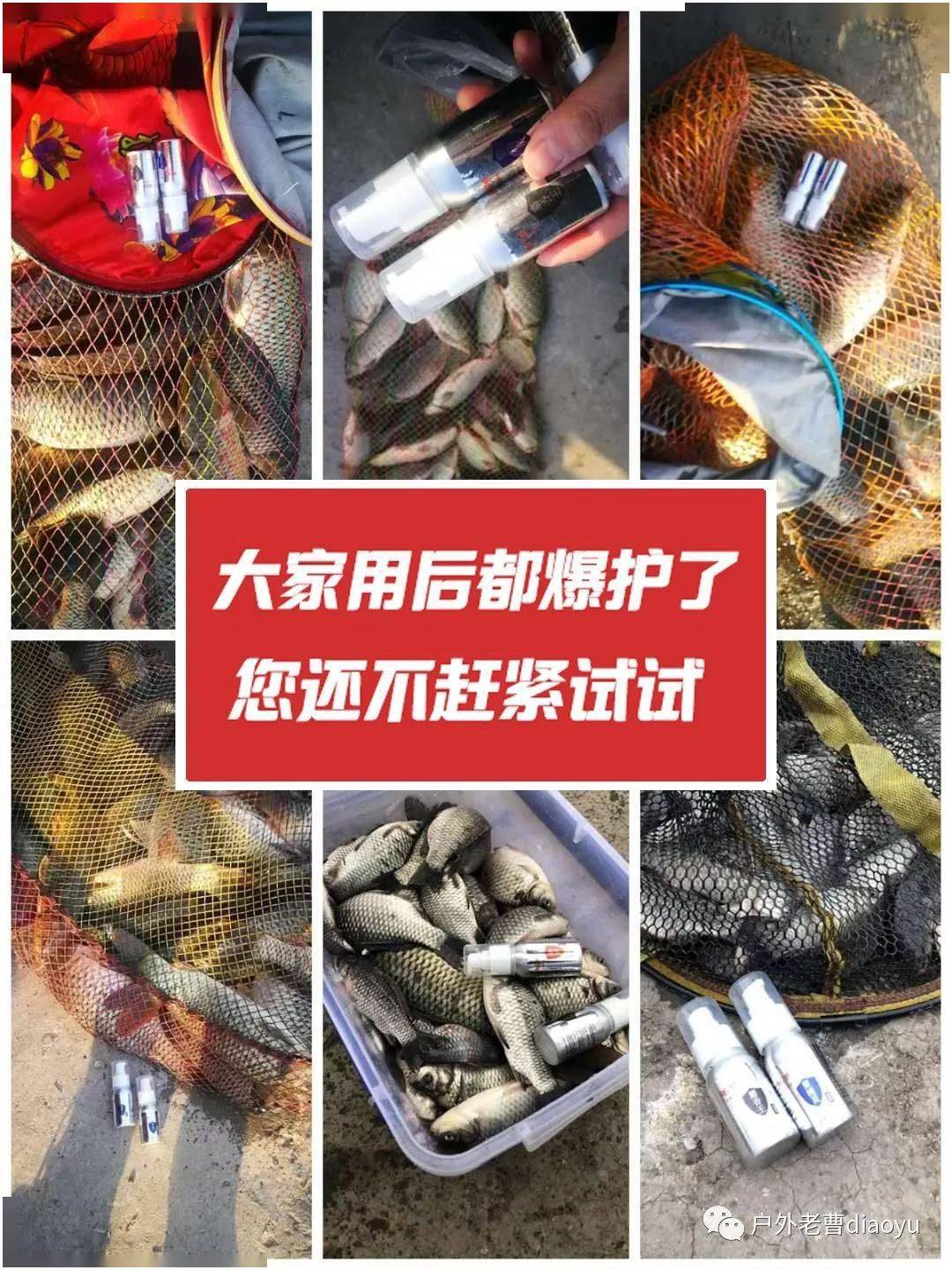 高手野钓鲤鱼饵料配方技巧与妙招足矣让你爆护