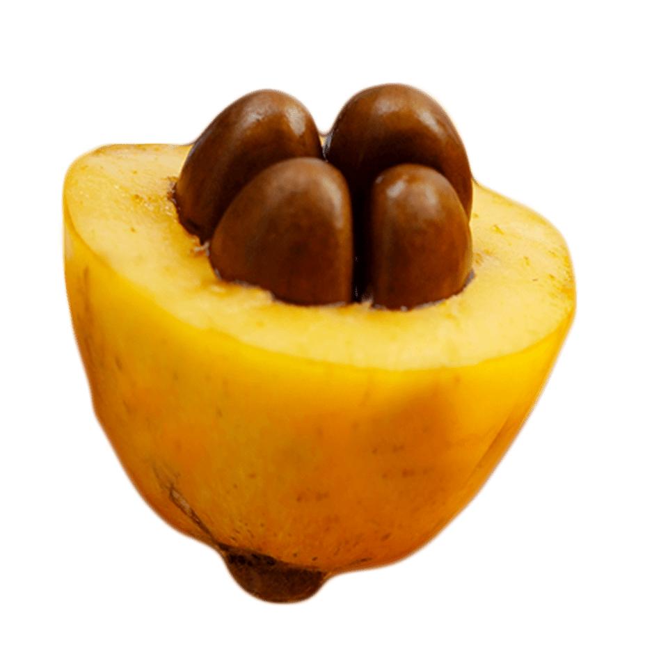 吃完的枇杷核千万别丢它还可以