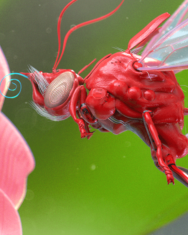 当小昆虫放大100倍女生关闭了文章