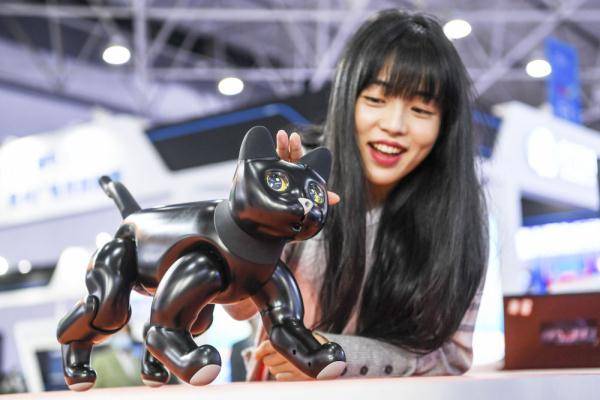 机器人|创新科技闪耀数博会