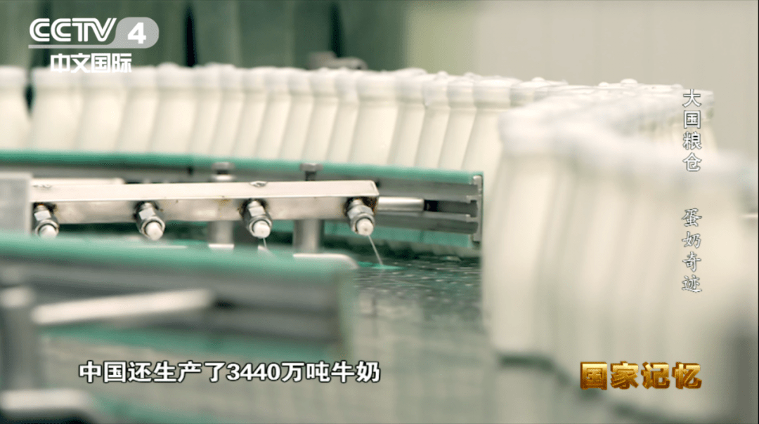 纪录片大国粮仓第七集蛋奶奇迹