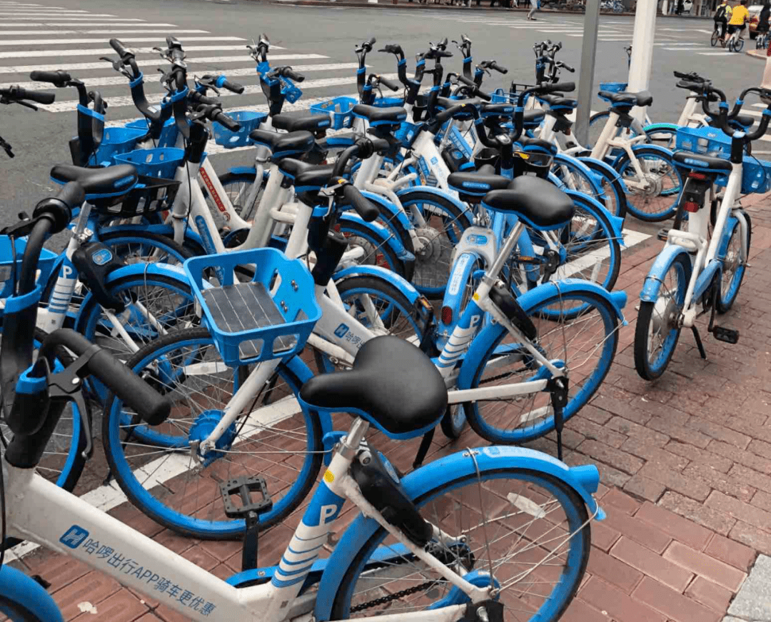 近日,哈尔滨公布了共享单车份额招标中标结果,最终确定美团,哈啰,青桔