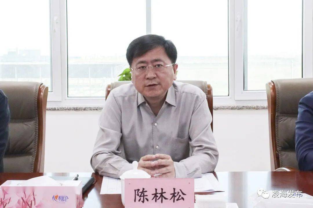 陈林松主持召开东北陆海新通道中国北方能源基地重点项目及锦盘两港