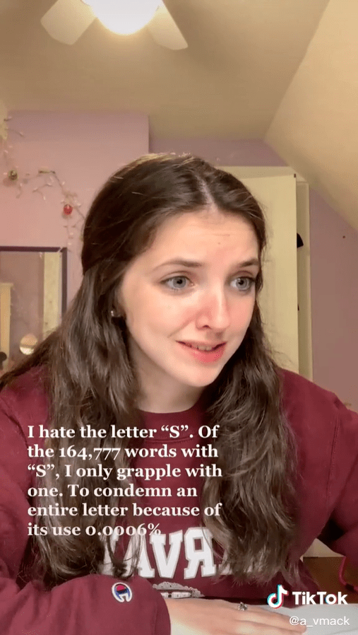 tiktok翻译成中文可以吗 88e093d6585f496582ca94610a096eac.png